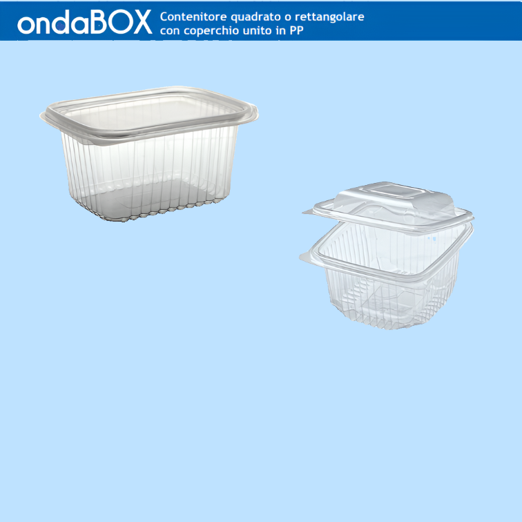 Ondabox envase en PP 50pz
