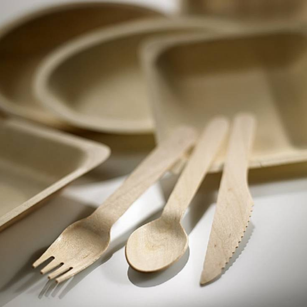 Cucchiai monouso in Legno di Betulla 16 cm - 48pz