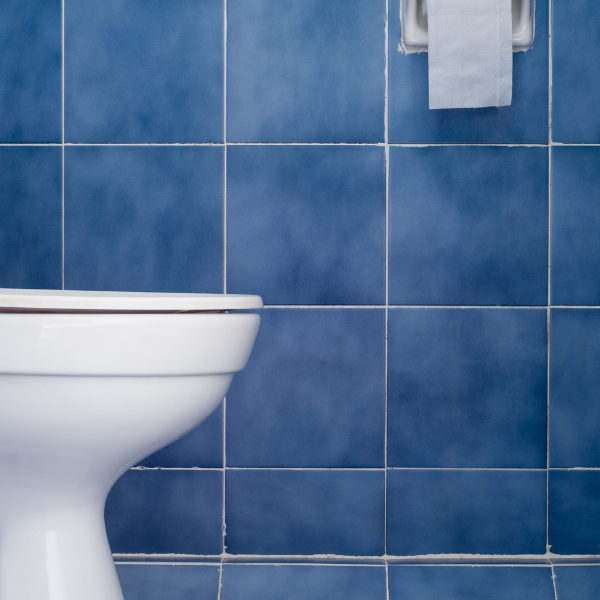 Detergente concentrado Sanet Ino para sanitarios Werner & Mertz - 1L